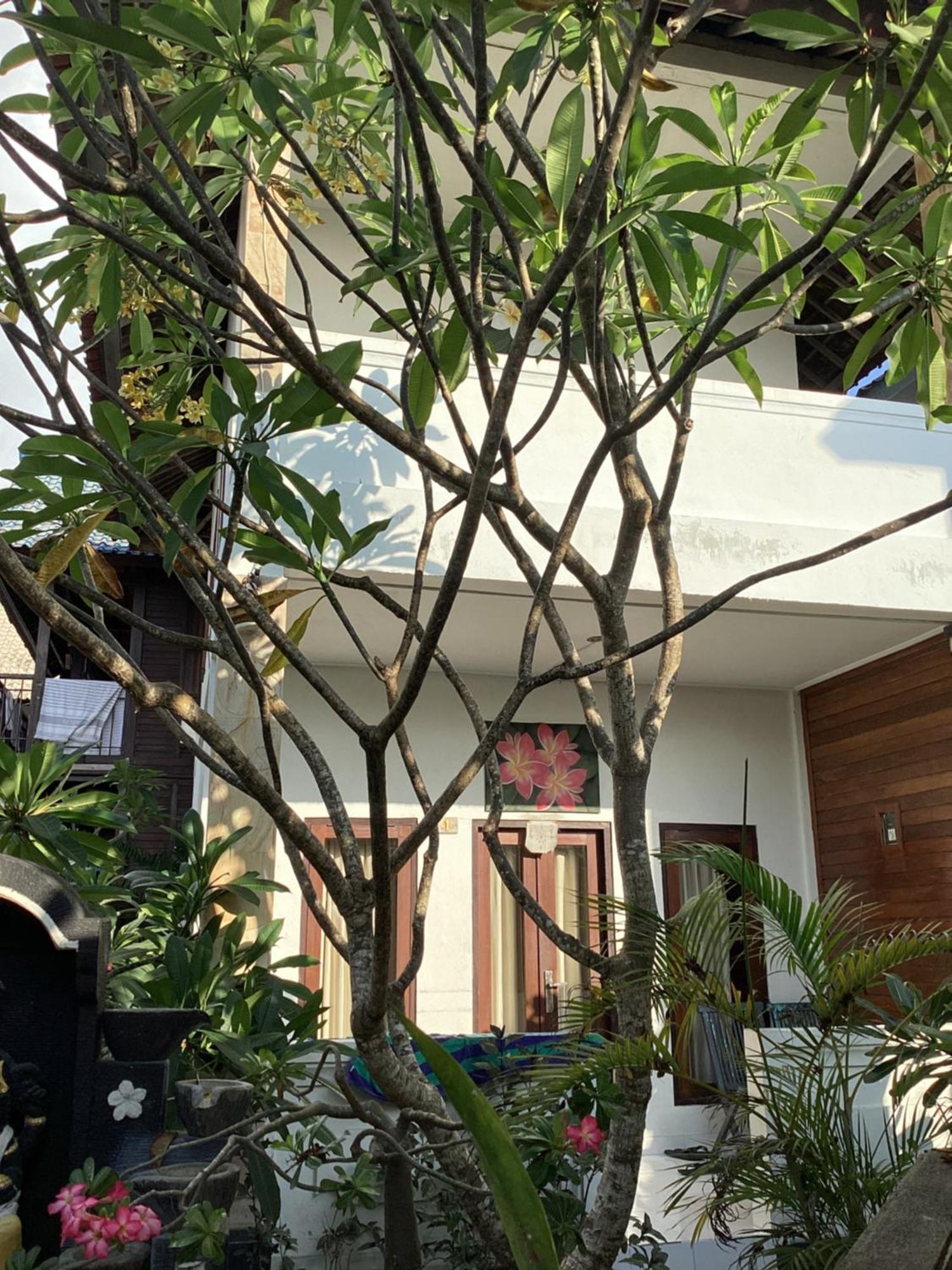 Linda Beach Hotel Lembongan Buitenkant foto